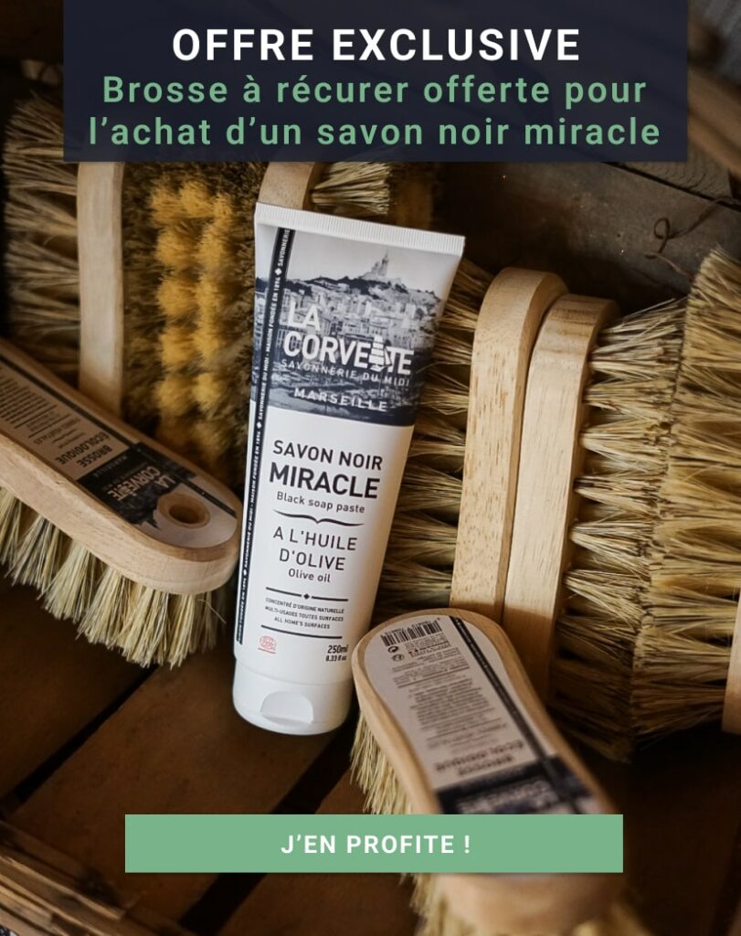 savon noir brosse